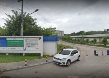 Fábrica Verde Brasil Publica Vagas Para 1° Emprego