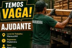 Empresa está selecionando Ajudante de madeireira; Envie seu currículo!