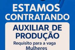 Empresa está selecionando Auxiliar de produção; Envie seu currículo!