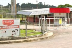 Fábrica de Colchões Pelmex está selecionando para vagas de emprego em Manaus; Envie seu currículo!